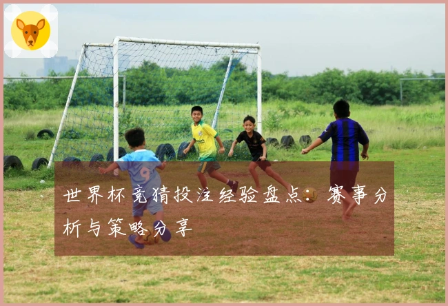 世界杯竞猜投注经验盘点：赛事分析与策略分享