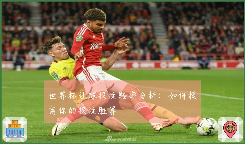 世界杯让球投注赔率分析：如何提高你的投注胜算