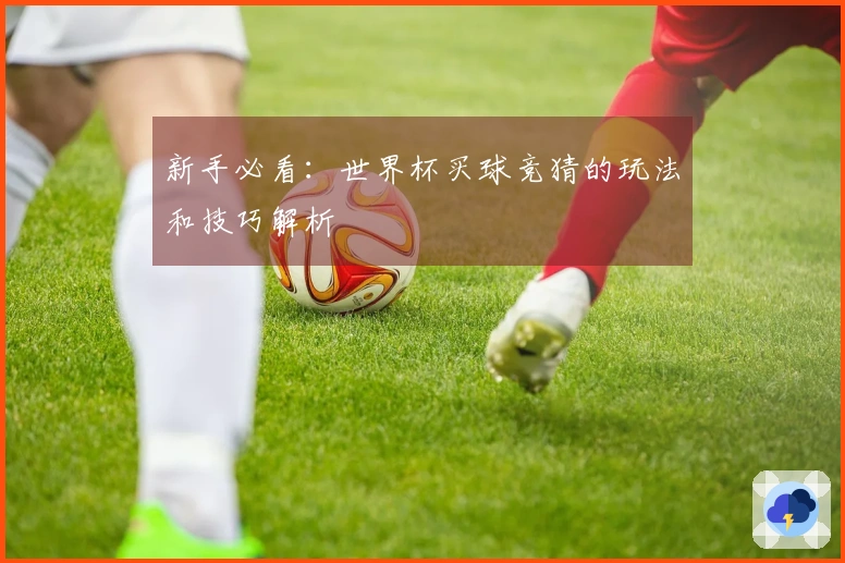 新手必看：世界杯买球竞猜的玩法和技巧解析